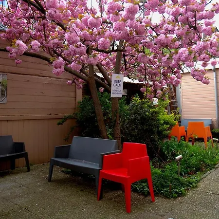 Shelter Jordan Christian